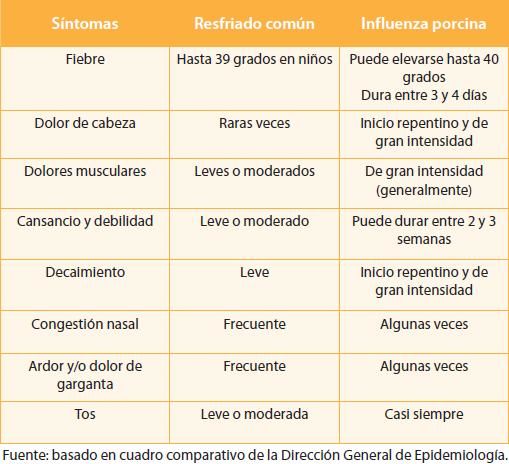 cuadro-gripe-porcina